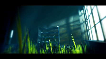 Acanthoceras screenshot 1