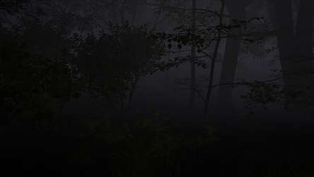 Joninės screenshot 5