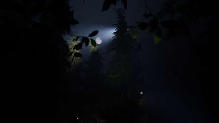 Taiga screenshot 3