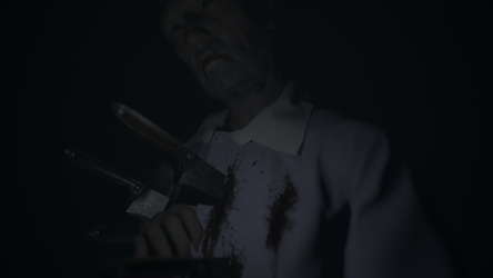 Visage screenshot 13