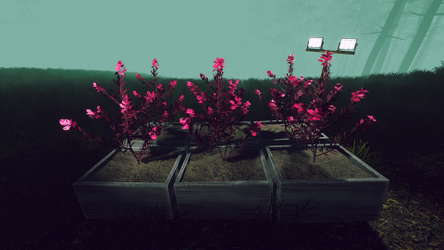 Odd Woods screenshot 5