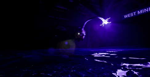 Sunken Veins screenshot 6