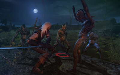 The Witcher: Enhanced Edition Director's Cut screenshot 11