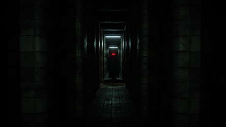 Red Door Ylw Door screenshot 6