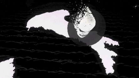 CUCCCHI screenshot 7