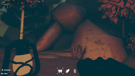 Birds Watching screenshot 9