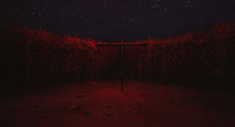 CornField screenshot 4