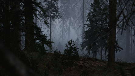 Veil of Mist screenshot 9