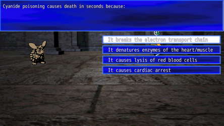 QUIZxRPG screenshot 2