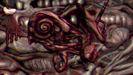 Navicula Meatus screenshot 5
