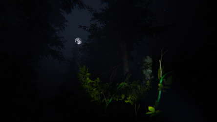 Taiga screenshot 4