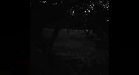 KaraDedeler 1989 screenshot 10