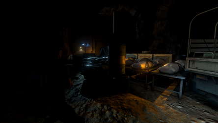 Outbreak: Epidemic screenshot 17