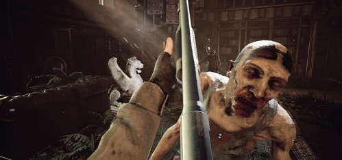 ENDLESS DAYS Z screenshot 13