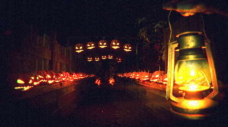 Terror in the Corn screenshot 4