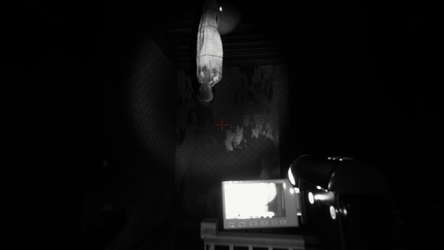 MetaPhysical screenshot 6