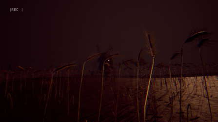 Vincent's Horror Story screenshot 4