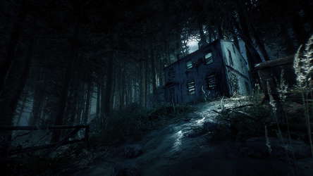 Blair Witch screenshot 6