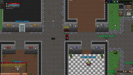 Rebornia - MMORPG 2D screenshot 5