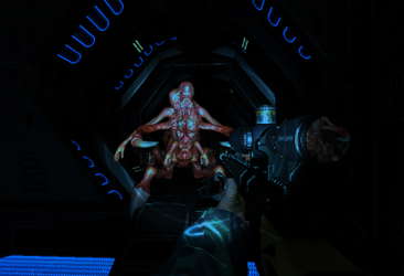 Terminal illness Rogue Horror Space Shooter screenshot 4
