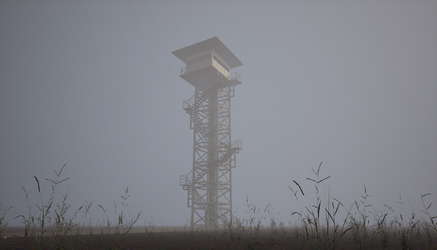 Fog Horror screenshot 10