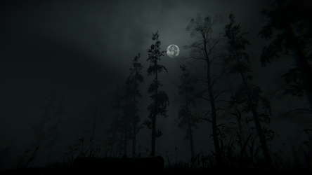 Withered Haven screenshot 5