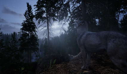 Online: 404 screenshot 8