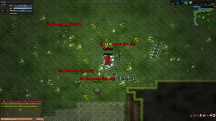 Rebornia - MMORPG 2D screenshot 11