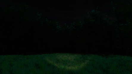 Scopaesthesia screenshot 5