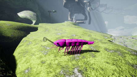 S H R i M P screenshot 31