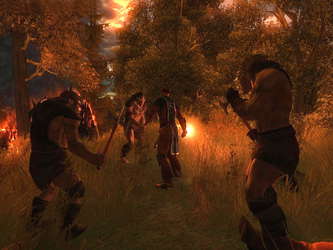 Drakensang screenshot 30