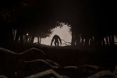 Foglight screenshot 1