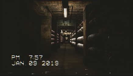 The Backrooms Footage screenshot 5