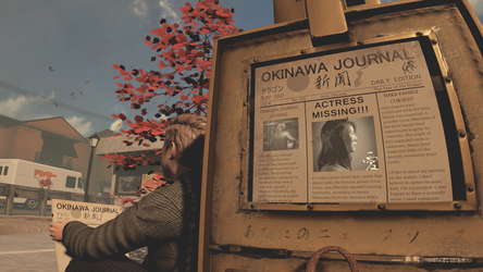 Okinawa Journal screenshot 12
