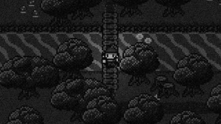 Hedera screenshot 9