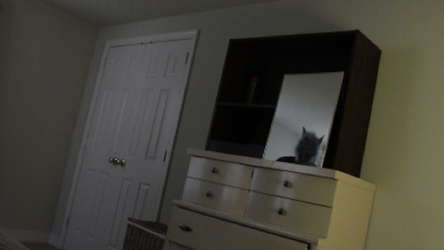 Real Scary screenshot 1