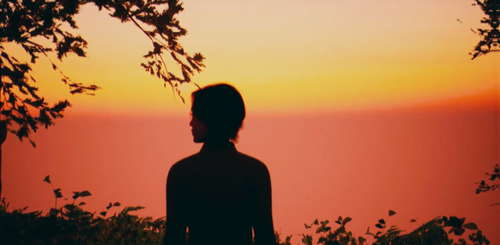 PARANECRO screenshot 13