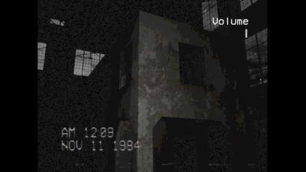 The Silent Witness screenshot 1