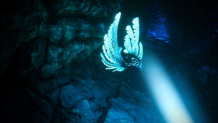 Biolum screenshot 4