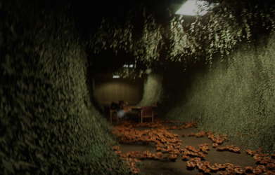 Backrooms: Escape Together screenshot 7