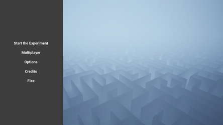 What The Maze screenshot 1