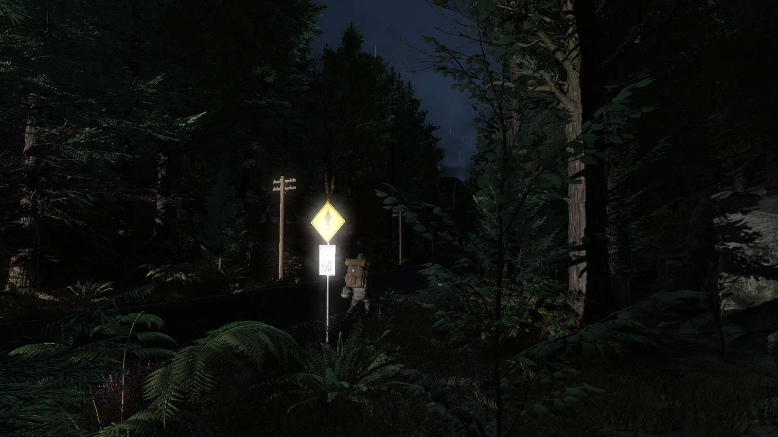 Pineview Drive - Homeless screenshot