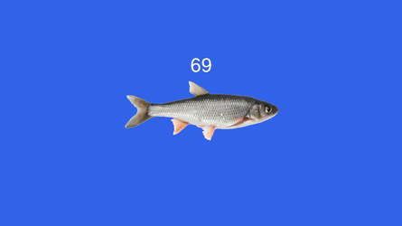 Fish screenshot 4