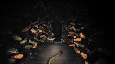Clink screenshot 5