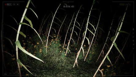 THE LORD OF THE NIGHT: Pombero Reborn screenshot 5