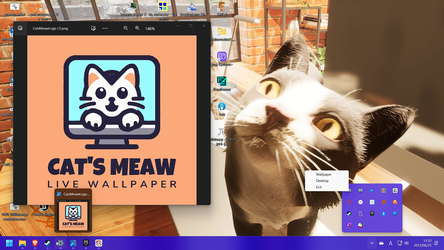 Cat's Meow Live Wallpaper screenshot 2