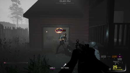 Days Of Purgatory screenshot 4