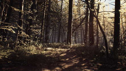 Blair Witch screenshot 3