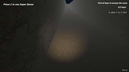 SHADOW MAZE Descent into Fear screenshot 3