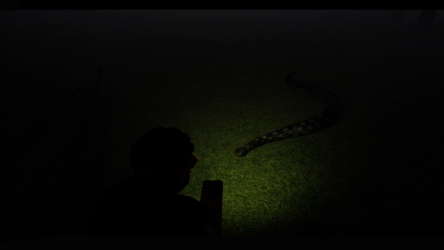 Monsters Mess screenshot 4